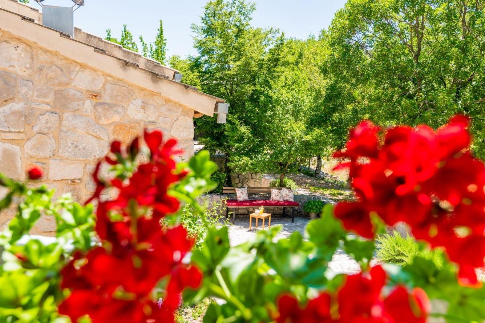 Villa Ognjistar In The Hinterland Of Makarska Riviera Zmijavci Exterior foto
